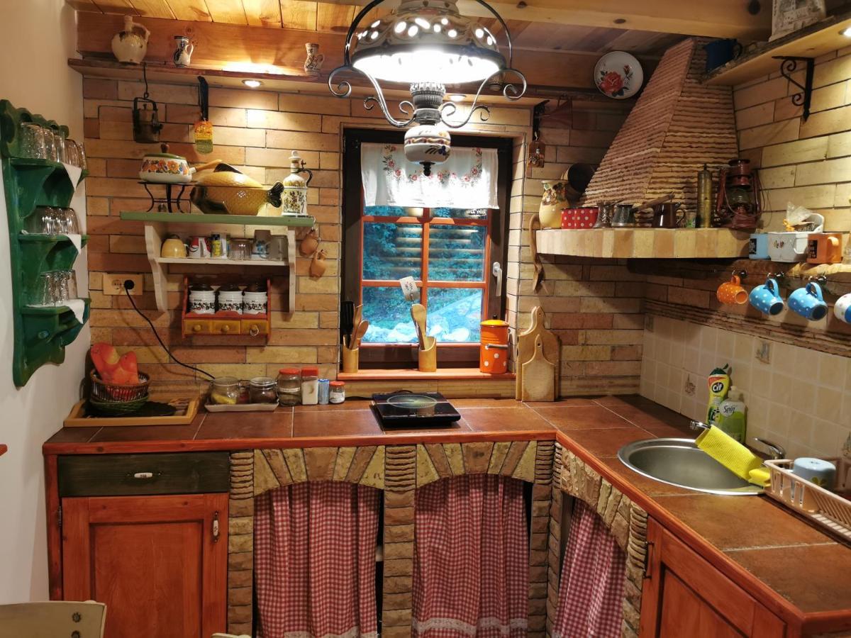 Вилла Brvnara Na Obali Reke Drine Beserovina Экстерьер фото
